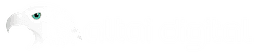 Altai Digital